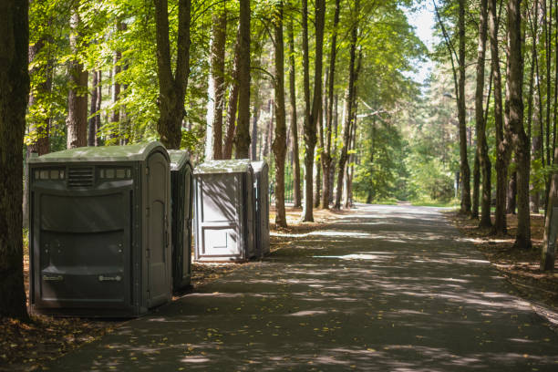 Best Local porta potty services  in Paradise Hills, NM